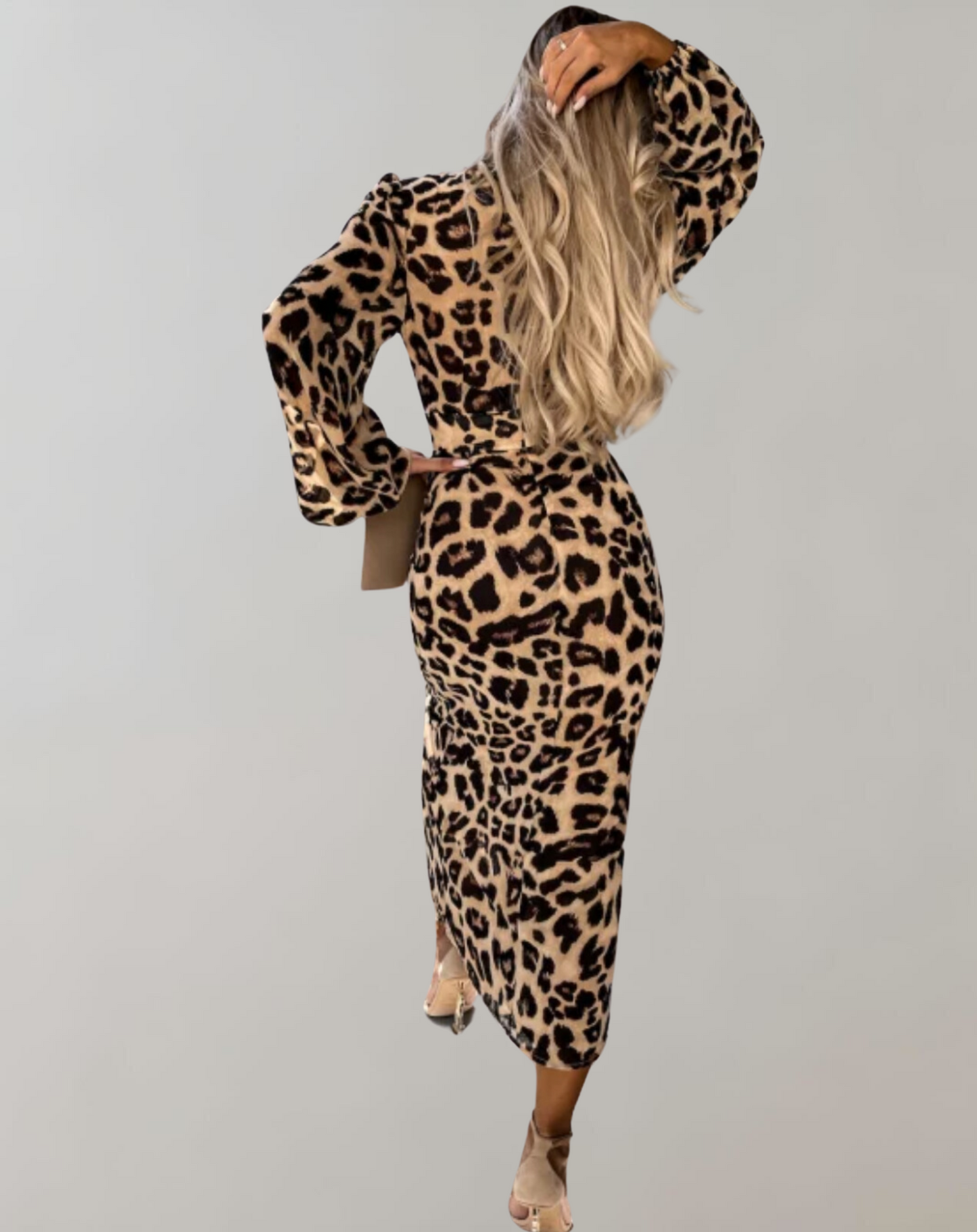 Leopard